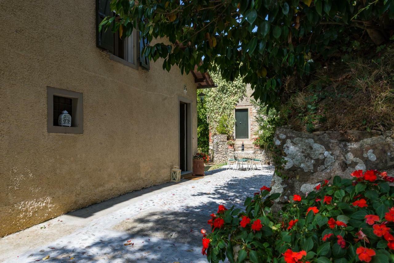 Villa Brancoli Capannori Exteriör bild